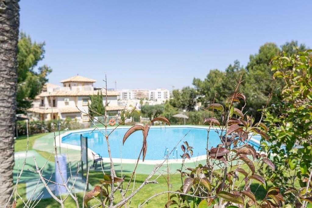 Casa Lilly-Rose, A Beautiful 3 Bedroom Detached Villa A Short Walk To The Villamartin Plaza & Golf Course Εξωτερικό φωτογραφία